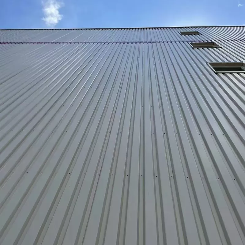 Color Steel Roofing Sheet